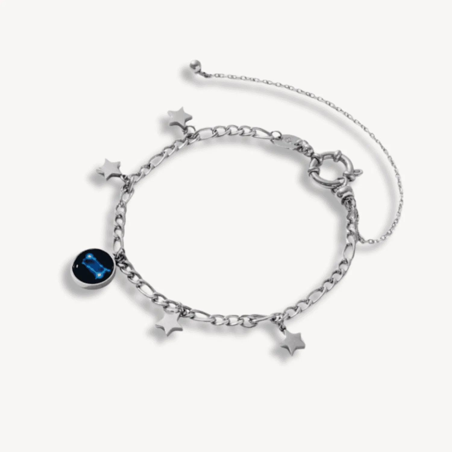 Aphrodite Anklet In Stainless Steel