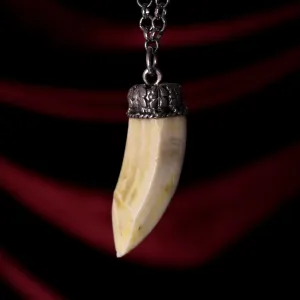 Charivari Wild Boar Tooth Pendant