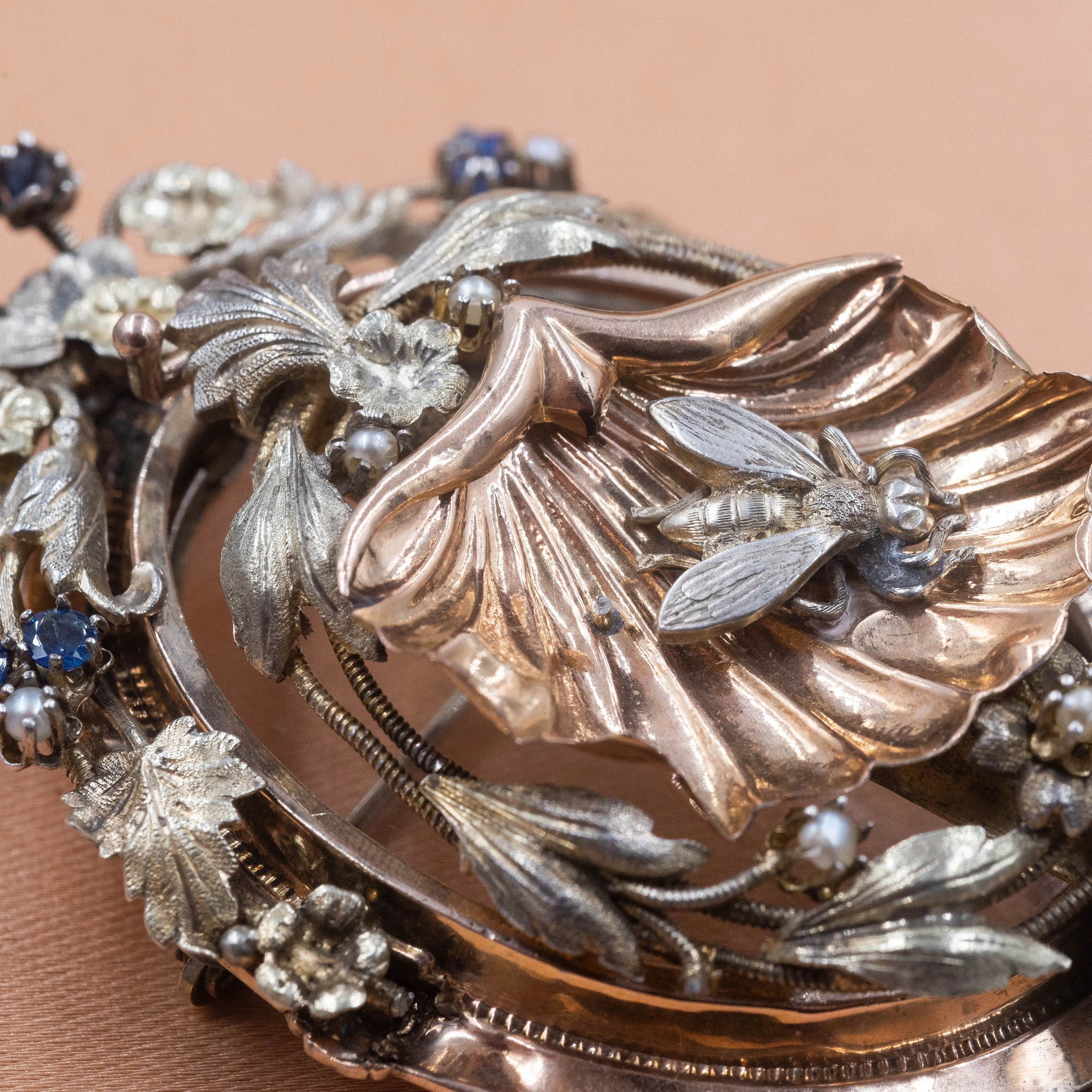 Curious Bee Shell Locket Brooch/Pendant c1870