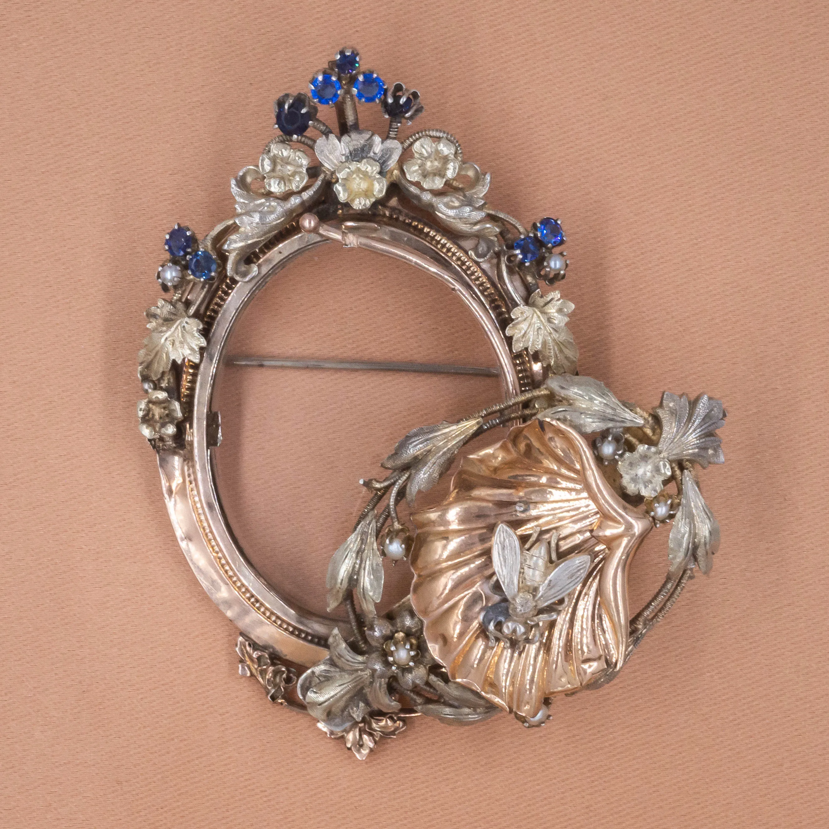 Curious Bee Shell Locket Brooch/Pendant c1870