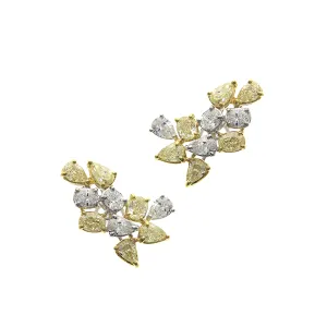 Daffodils - Gold