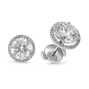Diamond Halo Studs - 5.3 Carat
