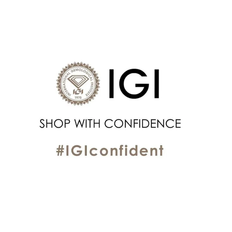 JewelMore 1/6 Carat - 6 Carat | 14K Rose Gold | Lab Grown Diamond Solitaire Stud Earrings | Round Shape Screw Back Prong Setting |(IGI Certified 2.00 ct & up)| Earrings