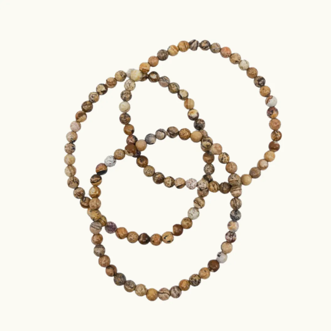 Picture Jasper Bracelet