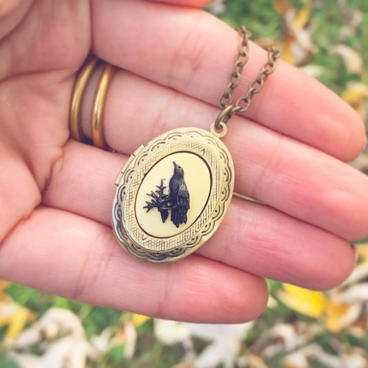 Raven Cameo Locket Necklace in Bronze