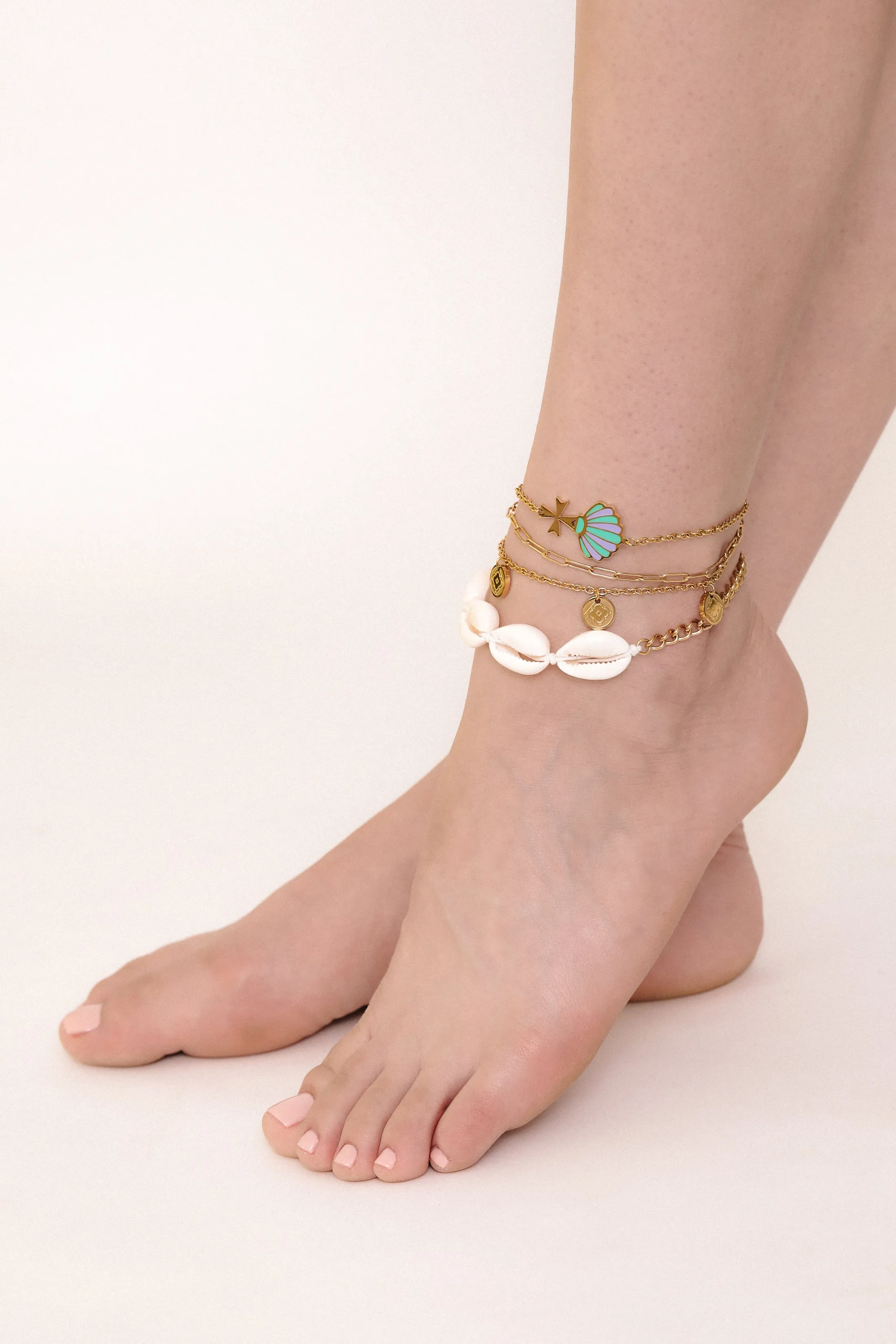 Shell Anklet