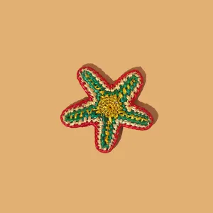 Starfish Brooch - Multi