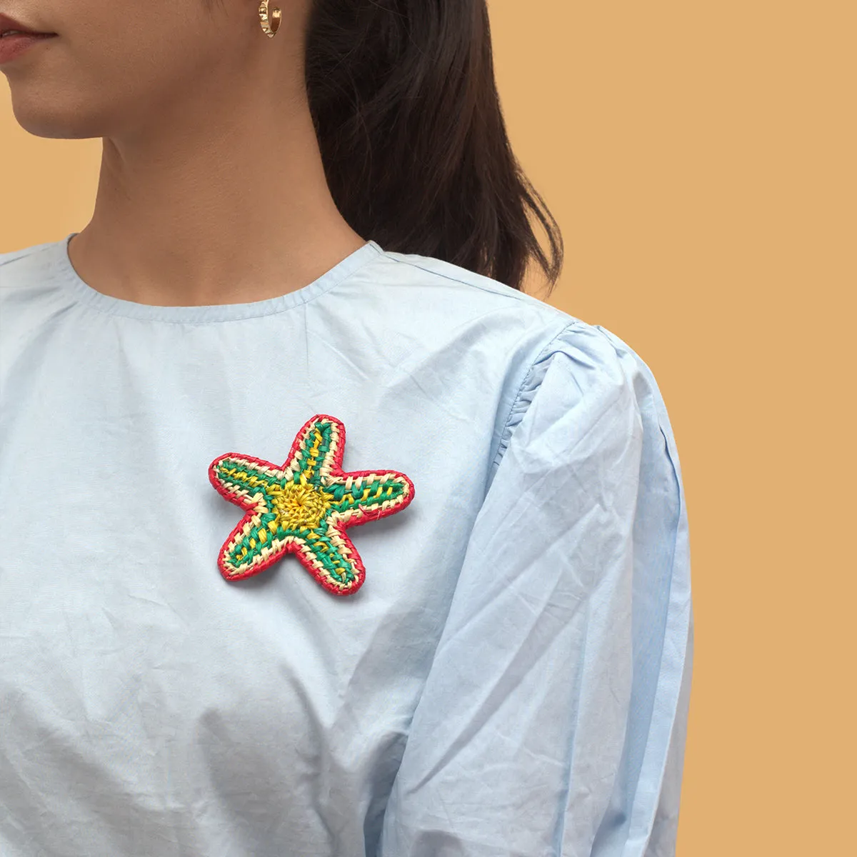 Starfish Brooch - Multi