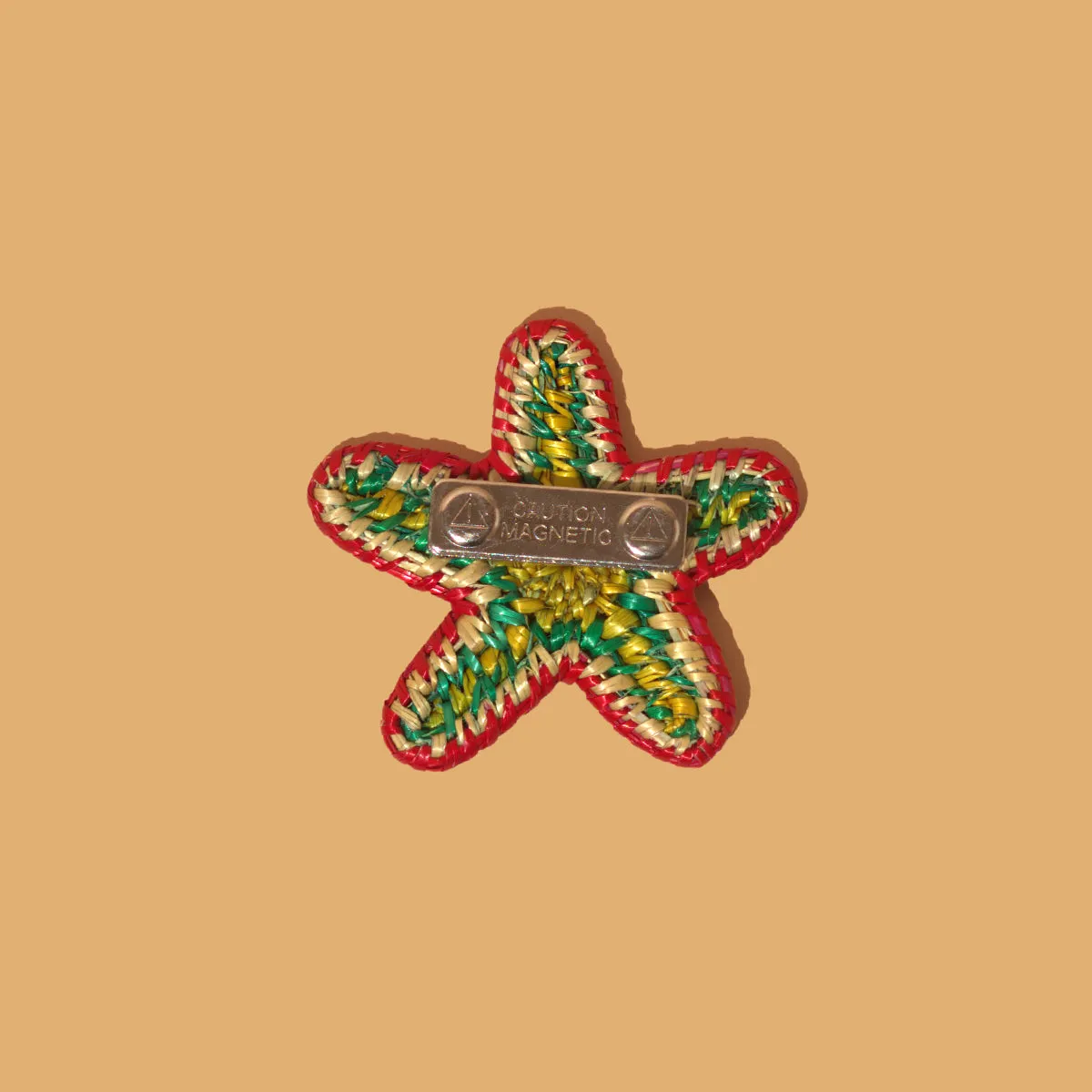 Starfish Brooch - Multi