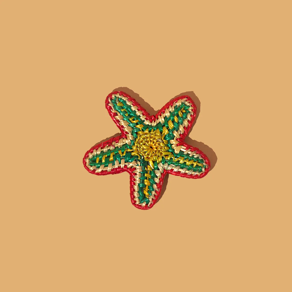 Starfish Brooch - Multi