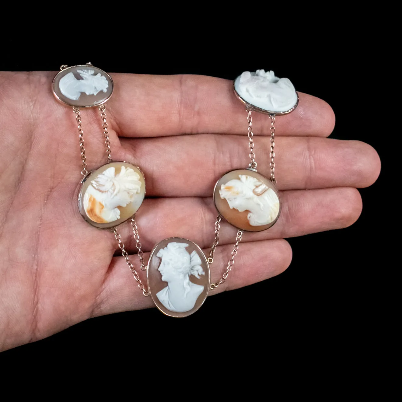 Vintage Cameo Necklace Bullmouth Shell 14Ct Gold Chain Circa 1932